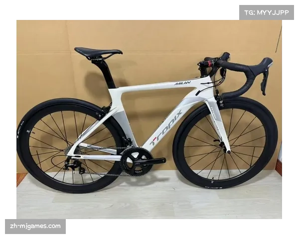 碳纤维车架价格持续走低，入门级山地车市场迎来洗牌